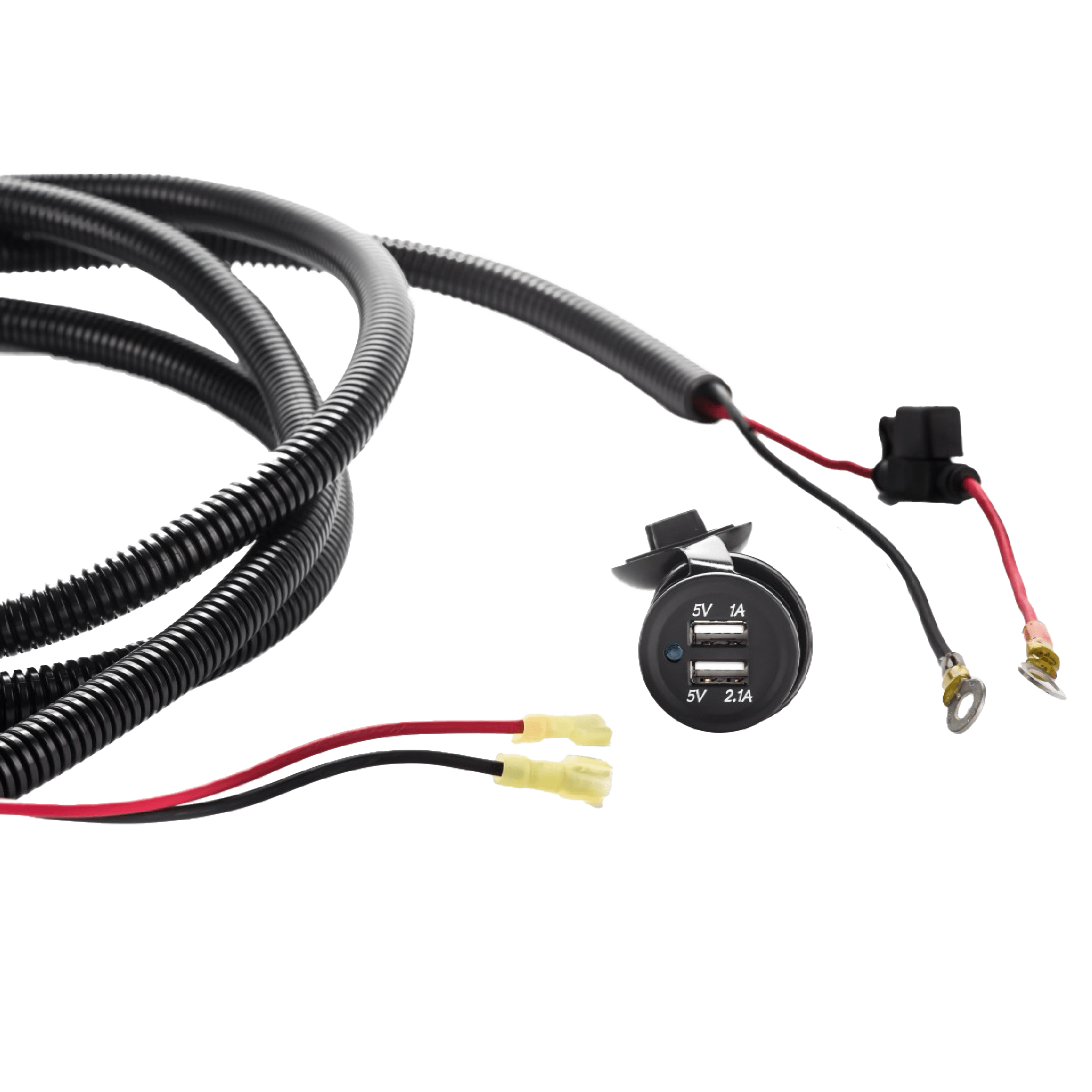 Dual USB Power Outlet-M.O.R.E.